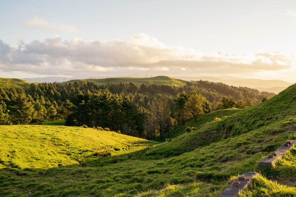 Palmerston North, New Zealand travel destination